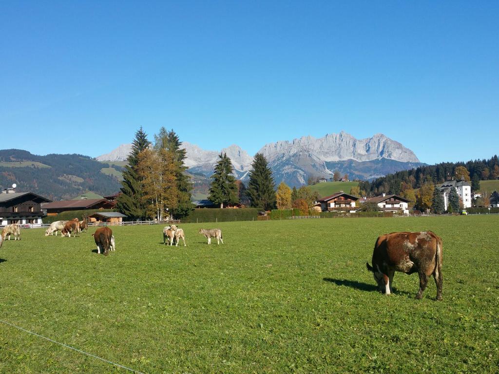 Haus Aschenwald Villa Kitzbühel Exteriör bild